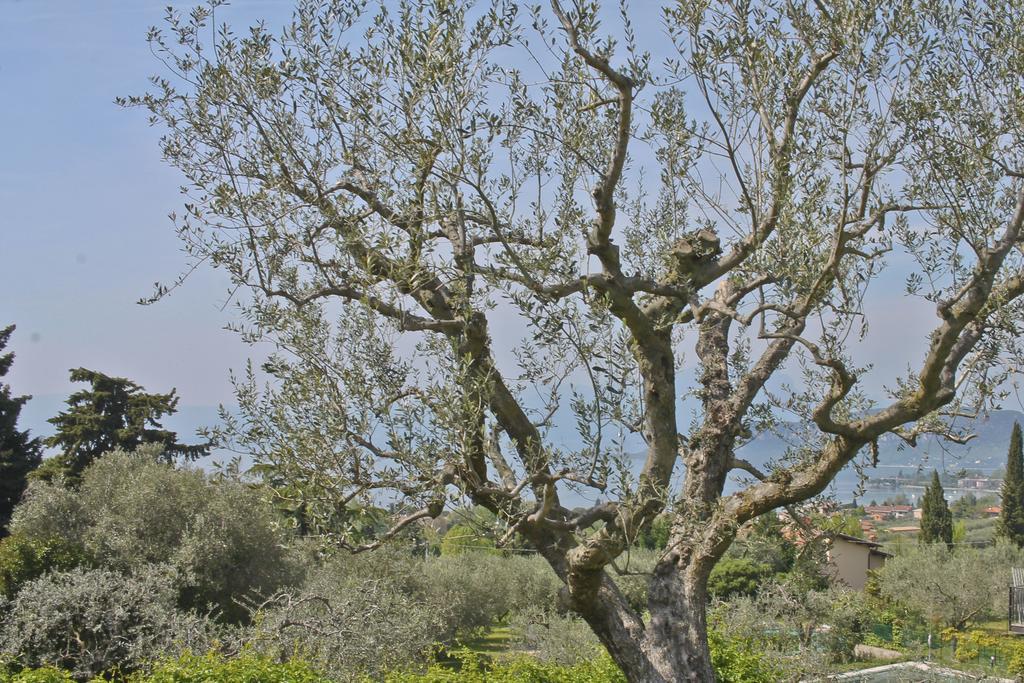 باردولينو Lovely Villa Elena - Garda Lake المظهر الخارجي الصورة